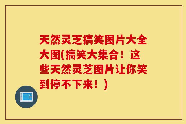 天然灵芝搞笑图片大全大图(搞笑大集合!这些天然灵芝图片让你笑到停不下来!)-第1张图片-灵芝之家 天然灵芝搞笑图片大全大图(搞笑大集合!这些天然灵芝图片让你笑到停不下来!)-第1张图片-灵芝之家