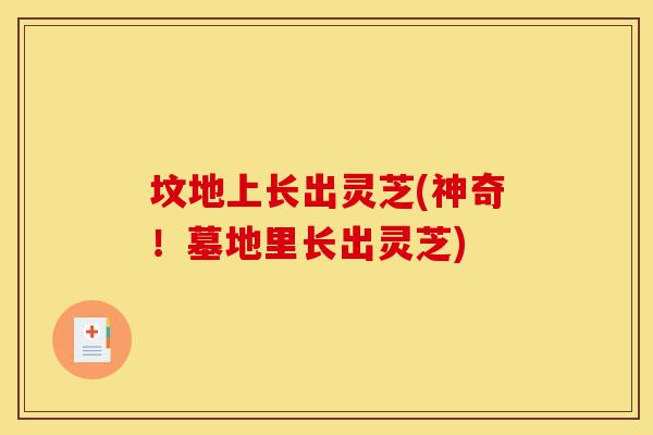 坟地上长出灵芝(神奇!墓地里长出灵芝)-第1张图片-灵芝之家 坟地上长出灵芝(神奇!墓地里长出灵芝)-第1张图片-灵芝之家