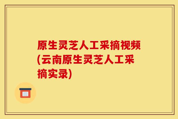 原生灵芝人工采摘视频(云南原生灵芝人工采摘实录)-第1张图片-灵芝之家