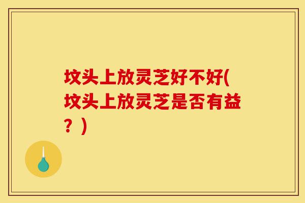 坟头上放灵芝好不好(坟头上放灵芝是否有益?)-第1张图片-灵芝之家 坟头上放灵芝好不好(坟头上放灵芝是否有益?)-第1张图片-灵芝之家