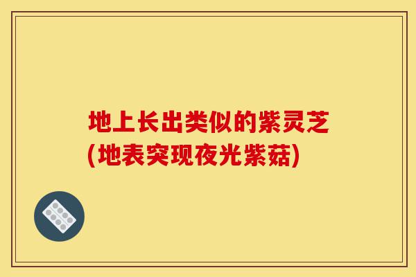 地上长出类似的紫灵芝(地表突现夜光紫菇)-第1张图片-灵芝之家 地上长出类似的紫灵芝(地表突现夜光紫菇)-第1张图片-灵芝之家