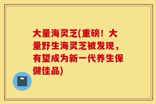 大量海灵芝(重磅!大量野生海灵芝被发现,有望成为新一代养生保健佳品)-第1张图片-灵芝之家 大量海灵芝(重磅!大量野生海灵芝被发现,有望成为新一代养生保健佳品)-第1张图片-灵芝之家