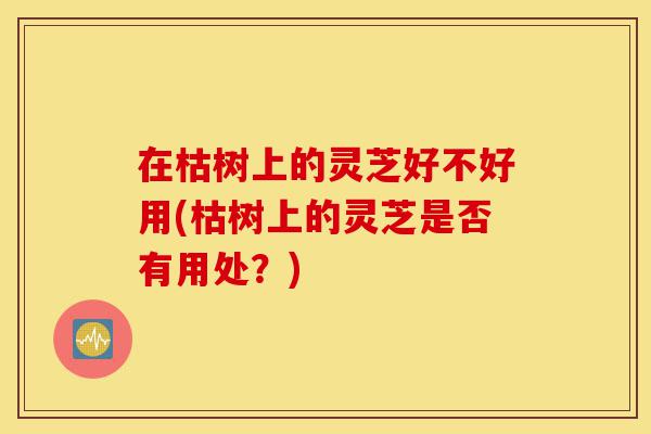 在枯树上的灵芝好不好用(枯树上的灵芝是否有用处?)-第1张图片-灵芝之家 在枯树上的灵芝好不好用(枯树上的灵芝是否有用处?)-第1张图片-灵芝之家