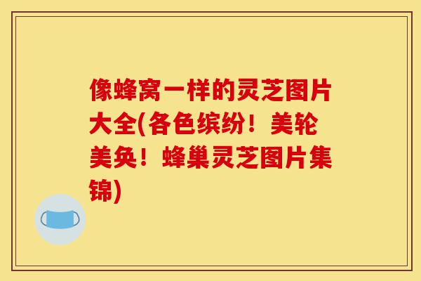 像蜂窝一样的灵芝图片大全(各色缤纷!美轮美奂!蜂巢灵芝图片集锦)-第1张图片-灵芝之家 像蜂窝一样的灵芝图片大全(各色缤纷!美轮美奂!蜂巢灵芝图片集锦)-第1张图片-灵芝之家