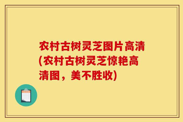 农村古树灵芝图片高清(农村古树灵芝惊艳高清图,美不胜收)-第1张图片-灵芝之家 农村古树灵芝图片高清(农村古树灵芝惊艳高清图,美不胜收)-第1张图片-灵芝之家