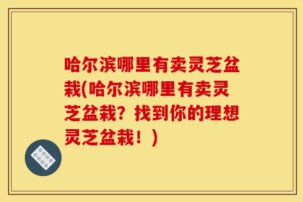 哈尔滨哪里有卖灵芝盆栽(哈尔滨哪里有卖灵芝盆栽?找到你的理想灵芝盆栽!)-第1张图片-灵芝之家 哈尔滨哪里有卖灵芝盆栽(哈尔滨哪里有卖灵芝盆栽?找到你的理想灵芝盆栽!)-第1张图片-灵芝之家