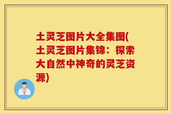 土灵芝图片大全集图(土灵芝图片集锦:探索大自然中神奇的灵芝资源)-第1张图片-灵芝之家 土灵芝图片大全集图(土灵芝图片集锦:探索大自然中神奇的灵芝资源)-第1张图片-灵芝之家