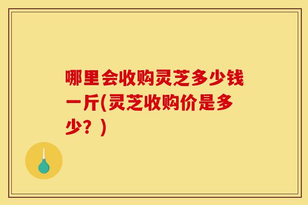 哪里会收购灵芝多少钱一斤(灵芝收购价是多少?)-第1张图片-灵芝之家 哪里会收购灵芝多少钱一斤(灵芝收购价是多少?)-第1张图片-灵芝之家