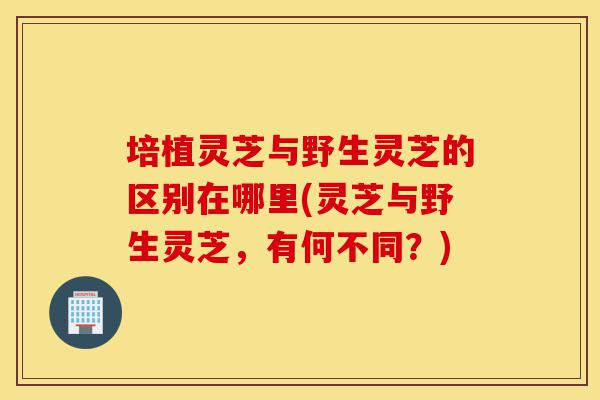 培植灵芝与野生灵芝的区别在哪里(灵芝与野生灵芝,有何不同?)-第1张图片-灵芝之家 培植灵芝与野生灵芝的区别在哪里(灵芝与野生灵芝,有何不同?)-第1张图片-灵芝之家