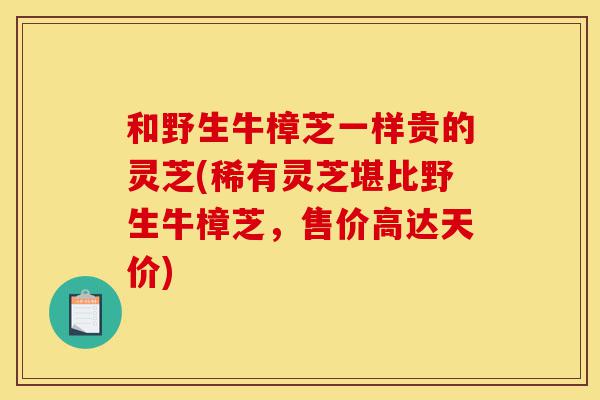 和野生牛樟芝一样贵的灵芝(稀有灵芝堪比野生牛樟芝,售价高达天价)-第1张图片-灵芝之家 和野生牛樟芝一样贵的灵芝(稀有灵芝堪比野生牛樟芝,售价高达天价)-第1张图片-灵芝之家