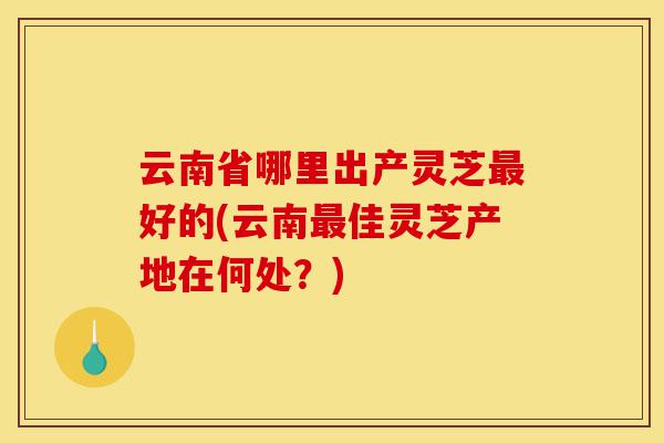 云南省哪里出产灵芝最好的(云南最佳灵芝产地在何处?)-第1张图片-灵芝之家 云南省哪里出产灵芝最好的(云南最佳灵芝产地在何处?)-第1张图片-灵芝之家
