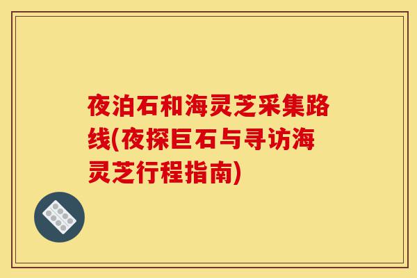 夜泊石和海灵芝采集路线(夜探巨石与寻访海灵芝行程指南)-第1张图片-灵芝之家 夜泊石和海灵芝采集路线(夜探巨石与寻访海灵芝行程指南)-第1张图片-灵芝之家
