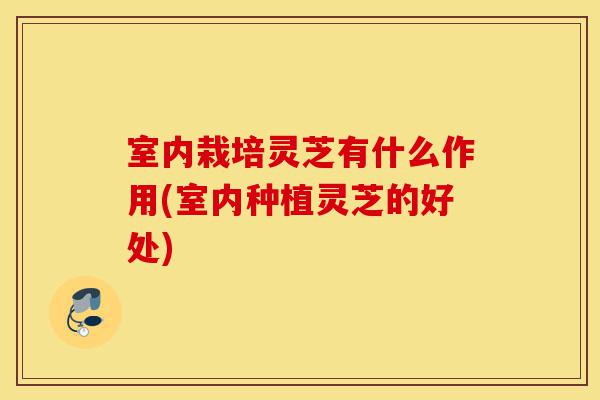 室内栽培灵芝有什么作用(室内种植灵芝的好处)-第1张图片-灵芝之家 室内栽培灵芝有什么作用(室内种植灵芝的好处)-第1张图片-灵芝之家