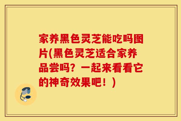 家养黑色灵芝能吃吗图片(黑色灵芝适合家养品尝吗?一起来看看它的神奇效果吧!)-第1张图片-灵芝之家 家养黑色灵芝能吃吗图片(黑色灵芝适合家养品尝吗?一起来看看它的神奇效果吧!)-第1张图片-灵芝之家