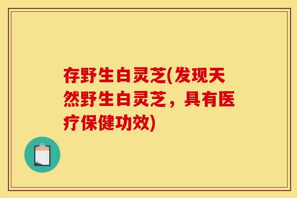 存野生白灵芝(发现天然野生白灵芝,具有医疗保健功效)-第1张图片-灵芝之家 存野生白灵芝(发现天然野生白灵芝,具有医疗保健功效)-第1张图片-灵芝之家