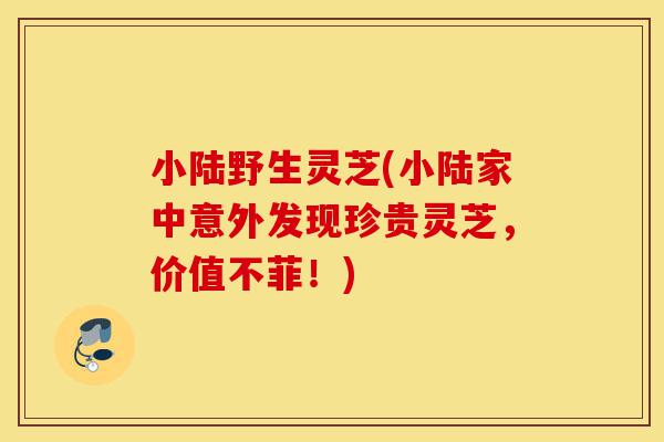 小陆野生灵芝(小陆家中意外发现珍贵灵芝,价值不菲!)-第1张图片-灵芝之家 小陆野生灵芝(小陆家中意外发现珍贵灵芝,价值不菲!)-第1张图片-灵芝之家