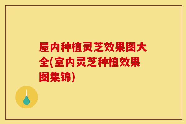屋内种植灵芝效果图大全(室内灵芝种植效果图集锦)-第1张图片-灵芝之家 屋内种植灵芝效果图大全(室内灵芝种植效果图集锦)-第1张图片-灵芝之家
