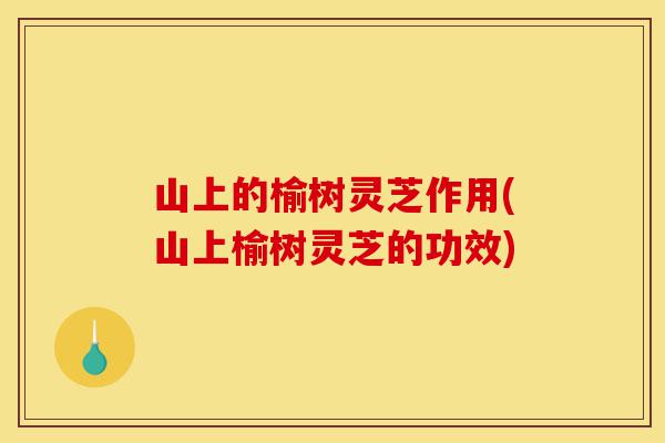 山上的榆树灵芝作用(山上榆树灵芝的功效)-第1张图片-灵芝之家 山上的榆树灵芝作用(山上榆树灵芝的功效)-第1张图片-灵芝之家