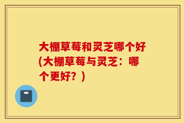 大棚草莓和灵芝哪个好(大棚草莓与灵芝:哪个更好?)-第1张图片-灵芝之家 大棚草莓和灵芝哪个好(大棚草莓与灵芝:哪个更好?)-第1张图片-灵芝之家
