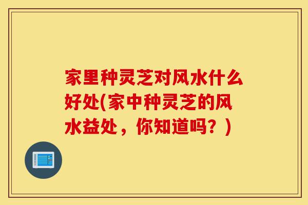 家里种灵芝对风水什么好处(家中种灵芝的风水益处,你知道吗?)-第1张图片-灵芝之家 家里种灵芝对风水什么好处(家中种灵芝的风水益处,你知道吗?)-第1张图片-灵芝之家