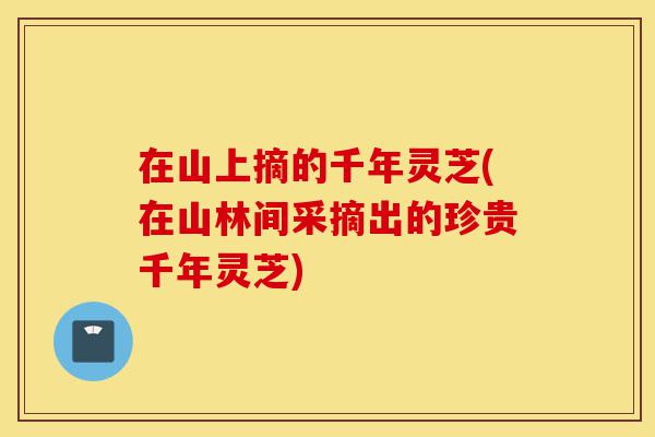 在山上摘的千年灵芝(在山林间采摘出的珍贵千年灵芝)-第1张图片-灵芝之家