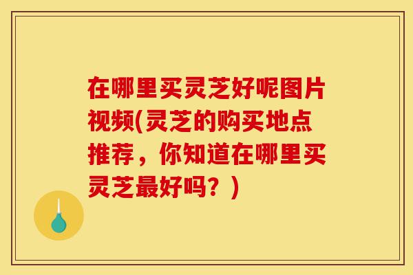 在哪里买灵芝好呢图片视频(灵芝的购买地点推荐,你知道在哪里买灵芝最好吗?)-第1张图片-灵芝之家 在哪里买灵芝好呢图片视频(灵芝的购买地点推荐,你知道在哪里买灵芝最好吗?)-第1张图片-灵芝之家