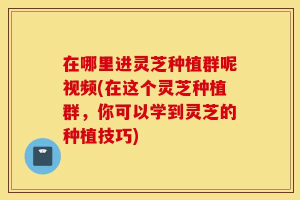 在哪里进灵芝种植群呢视频(在这个灵芝种植群,你可以学到灵芝的种植技巧)-第1张图片-灵芝之家 在哪里进灵芝种植群呢视频(在这个灵芝种植群,你可以学到灵芝的种植技巧)-第1张图片-灵芝之家