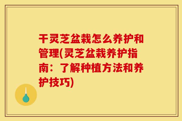 干灵芝盆栽怎么养护和管理(灵芝盆栽养护指南:了解种植方法和养护技巧)-第1张图片-灵芝之家 干灵芝盆栽怎么养护和管理(灵芝盆栽养护指南:了解种植方法和养护技巧)-第1张图片-灵芝之家