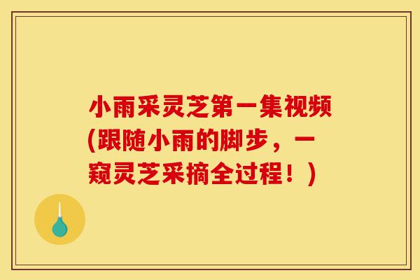 小雨采灵芝第一集视频(跟随小雨的脚步,一窥灵芝采摘全过程!)-第1张图片-灵芝之家 小雨采灵芝第一集视频(跟随小雨的脚步,一窥灵芝采摘全过程!)-第1张图片-灵芝之家