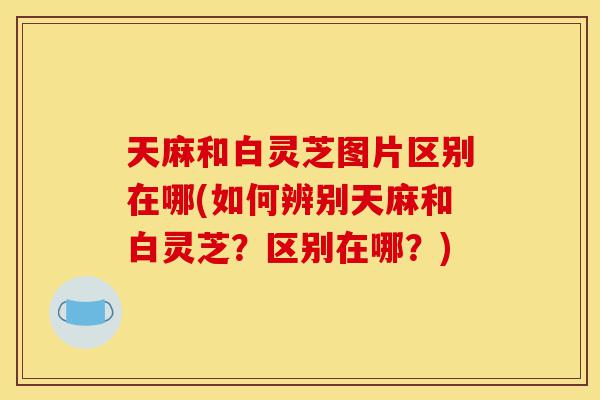 天麻和白灵芝图片区别在哪(如何辨别天麻和白灵芝?区别在哪?)-第1张图片-灵芝之家 天麻和白灵芝图片区别在哪(如何辨别天麻和白灵芝?区别在哪?)-第1张图片-灵芝之家