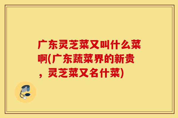 广东灵芝菜又叫什么菜啊(广东蔬菜界的新贵,灵芝菜又名什菜)-第1张图片-灵芝之家 广东灵芝菜又叫什么菜啊(广东蔬菜界的新贵,灵芝菜又名什菜)-第1张图片-灵芝之家