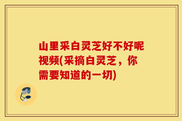 山里采白灵芝好不好呢视频(采摘白灵芝,你需要知道的一切)-第1张图片-灵芝之家 山里采白灵芝好不好呢视频(采摘白灵芝,你需要知道的一切)-第1张图片-灵芝之家