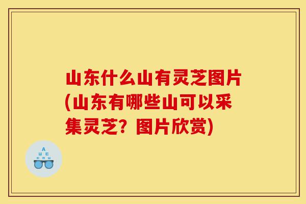 山东什么山有灵芝图片(山东有哪些山可以采集灵芝?图片欣赏)-第1张图片-灵芝之家 山东什么山有灵芝图片(山东有哪些山可以采集灵芝?图片欣赏)-第1张图片-灵芝之家