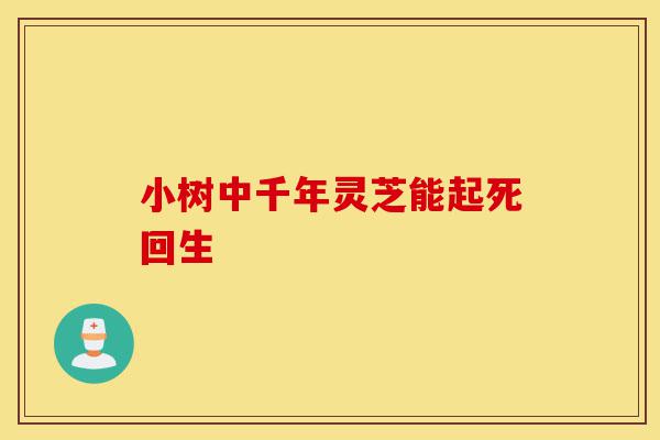 小树中千年灵芝能起死回生-第1张图片-灵芝之家 小树中千年灵芝能起死回生-第1张图片-灵芝之家