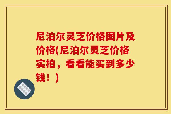 尼泊尔灵芝价格图片及价格(尼泊尔灵芝价格实拍，看看能买到多少钱！)-第1张图片-灵芝之家
