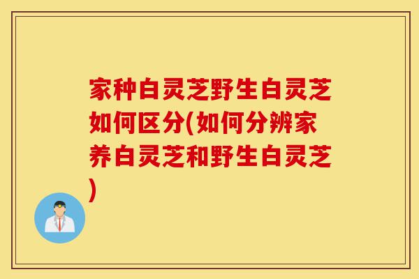 家种白灵芝野生白灵芝如何区分(如何分辨家养白灵芝和野生白灵芝)-第1张图片-灵芝之家 家种白灵芝野生白灵芝如何区分(如何分辨家养白灵芝和野生白灵芝)-第1张图片-灵芝之家