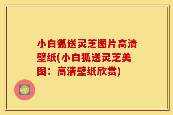 小白狐送灵芝图片高清壁纸(小白狐送灵芝美图:高清壁纸欣赏)-第1张图片-灵芝之家 小白狐送灵芝图片高清壁纸(小白狐送灵芝美图:高清壁纸欣赏)-第1张图片-灵芝之家
