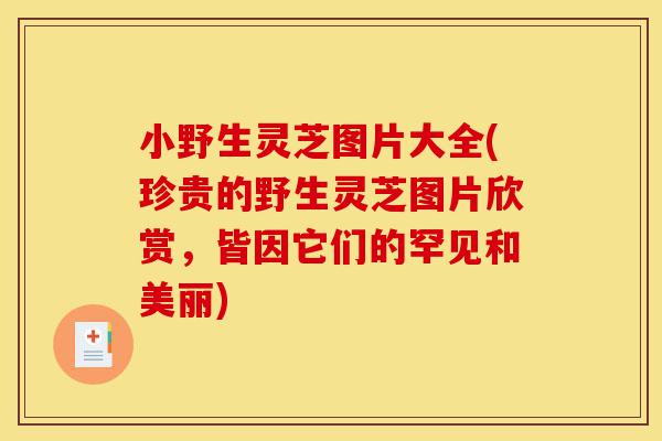 小野生灵芝图片大全(珍贵的野生灵芝图片欣赏,皆因它们的罕见和美丽)-第1张图片-灵芝之家 小野生灵芝图片大全(珍贵的野生灵芝图片欣赏,皆因它们的罕见和美丽)-第1张图片-灵芝之家