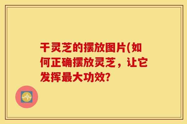 干灵芝的摆放图片(如何正确摆放灵芝，让它发挥最大功效？-第1张图片-灵芝之家