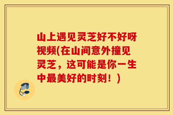山上遇见灵芝好不好呀视频(在山间意外撞见灵芝,这可能是你一生中最美好的时刻!)-第1张图片-灵芝之家 山上遇见灵芝好不好呀视频(在山间意外撞见灵芝,这可能是你一生中最美好的时刻!)-第1张图片-灵芝之家