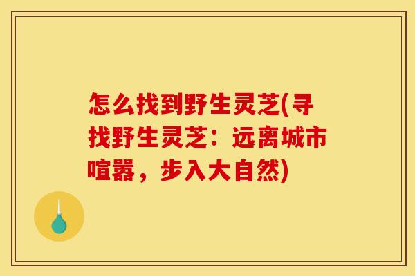 怎么找到野生灵芝(寻找野生灵芝:远离城市喧嚣,步入大自然)-第1张图片-灵芝之家 怎么找到野生灵芝(寻找野生灵芝:远离城市喧嚣,步入大自然)-第1张图片-灵芝之家