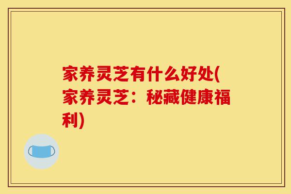 家养灵芝有什么好处(家养灵芝:秘藏健康福利)-第1张图片-灵芝之家 家养灵芝有什么好处(家养灵芝:秘藏健康福利)-第1张图片-灵芝之家