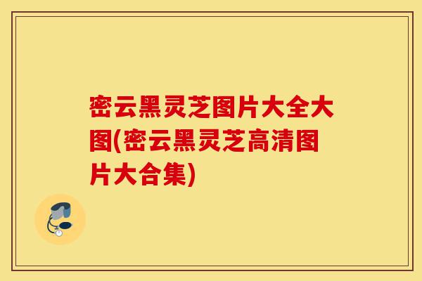密云黑灵芝图片大全大图(密云黑灵芝高清图片大合集)-第1张图片-灵芝之家 密云黑灵芝图片大全大图(密云黑灵芝高清图片大合集)-第1张图片-灵芝之家