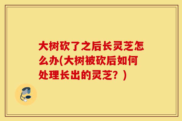 大树砍了之后长灵芝怎么办(大树被砍后如何处理长出的灵芝?)-第1张图片-灵芝之家 大树砍了之后长灵芝怎么办(大树被砍后如何处理长出的灵芝?)-第1张图片-灵芝之家