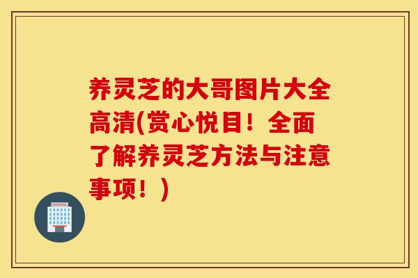 养灵芝的大哥图片大全高清(赏心悦目!全面了解养灵芝方法与注意事项!)-第1张图片-灵芝之家 养灵芝的大哥图片大全高清(赏心悦目!全面了解养灵芝方法与注意事项!)-第1张图片-灵芝之家