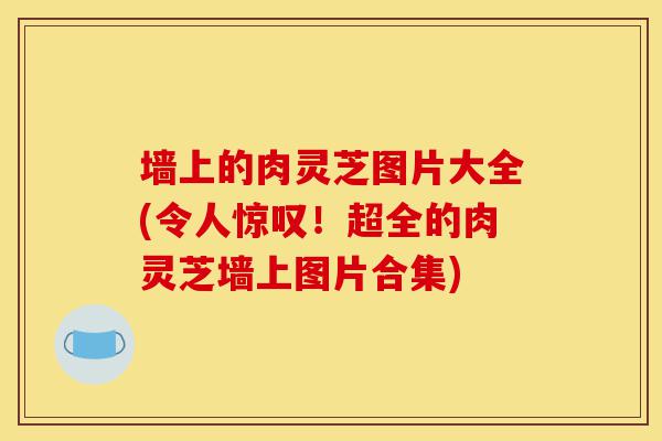 墙上的肉灵芝图片大全(令人惊叹!超全的肉灵芝墙上图片合集)-第1张图片-灵芝之家 墙上的肉灵芝图片大全(令人惊叹!超全的肉灵芝墙上图片合集)-第1张图片-灵芝之家