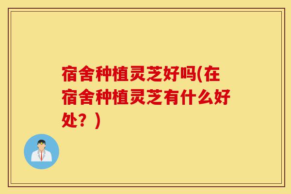宿舍种植灵芝好吗(在宿舍种植灵芝有什么好处?)-第1张图片-灵芝之家 宿舍种植灵芝好吗(在宿舍种植灵芝有什么好处?)-第1张图片-灵芝之家