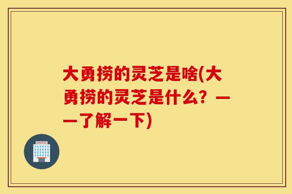 大勇捞的灵芝是啥(大勇捞的灵芝是什么?——了解一下)-第1张图片-灵芝之家 大勇捞的灵芝是啥(大勇捞的灵芝是什么?——了解一下)-第1张图片-灵芝之家