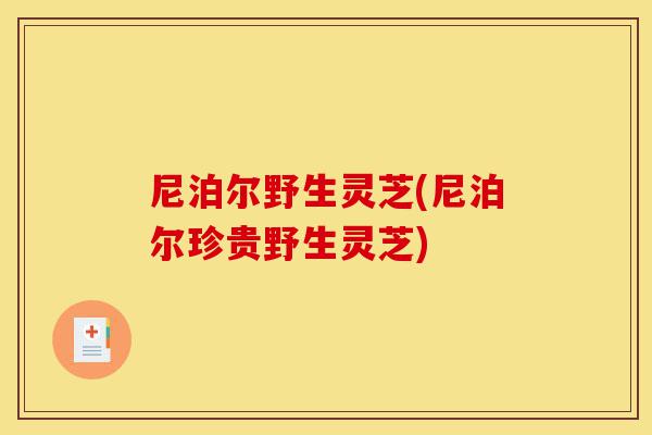 尼泊尔野生灵芝(尼泊尔珍贵野生灵芝)-第1张图片-灵芝之家