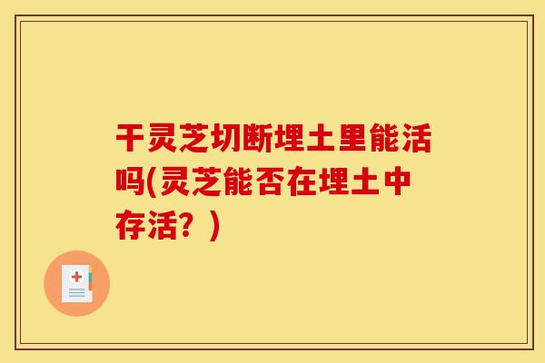 干灵芝切断埋土里能活吗(灵芝能否在埋土中存活？)-第1张图片-灵芝之家